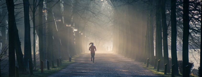 exercise effects on mindfulness and wellbeing